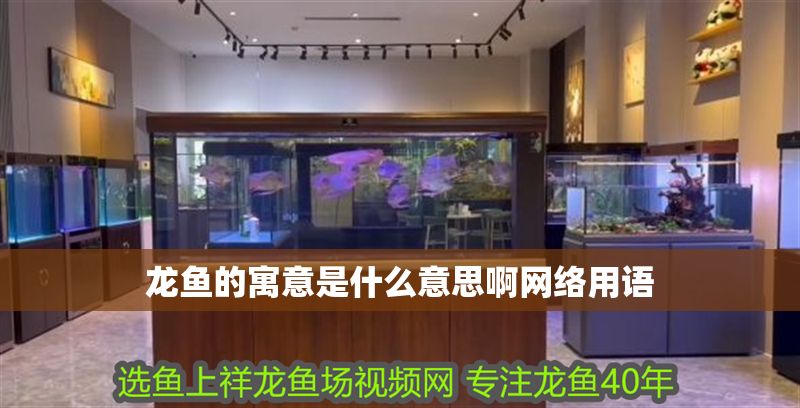 龍魚的寓意是什么意思啊網絡用語