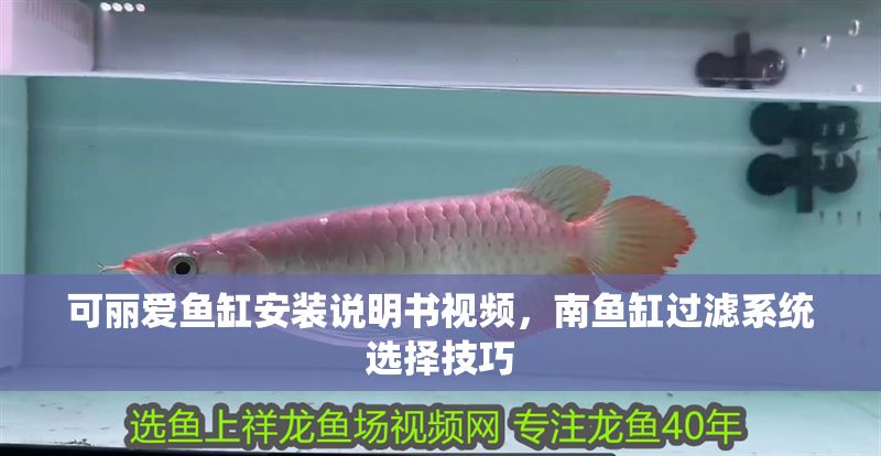 可麗愛魚缸安裝說明書視頻，南魚缸過濾系統選擇技巧