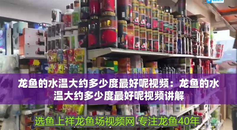 龍魚的水溫大約多少度最好呢視頻：龍魚的水溫大約多少度最好呢視頻講解