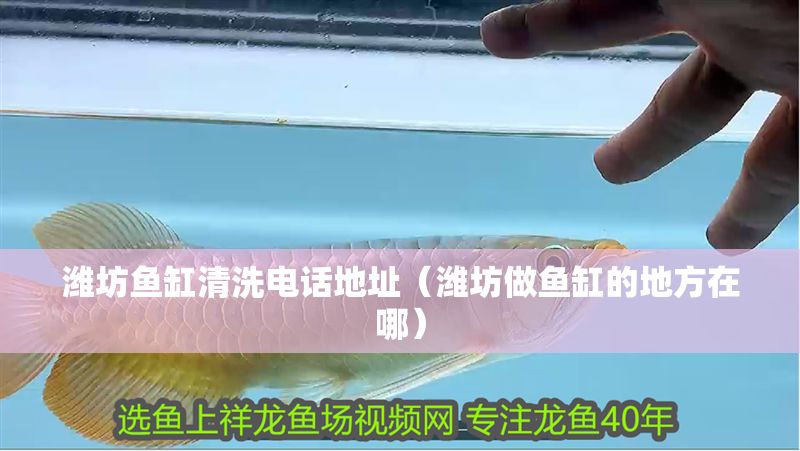 濰坊魚缸清洗電話地址（濰坊做魚缸的地方在哪）