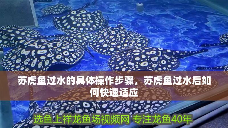 蘇虎魚過水的具體操作步驟，蘇虎魚過水后如何快速適應
