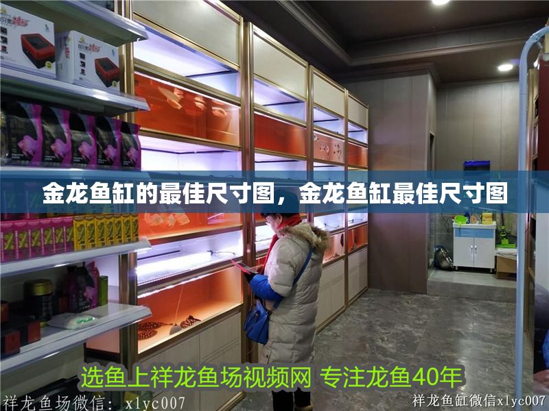 金龍魚缸的最佳尺寸圖，金龍魚缸最佳尺寸圖