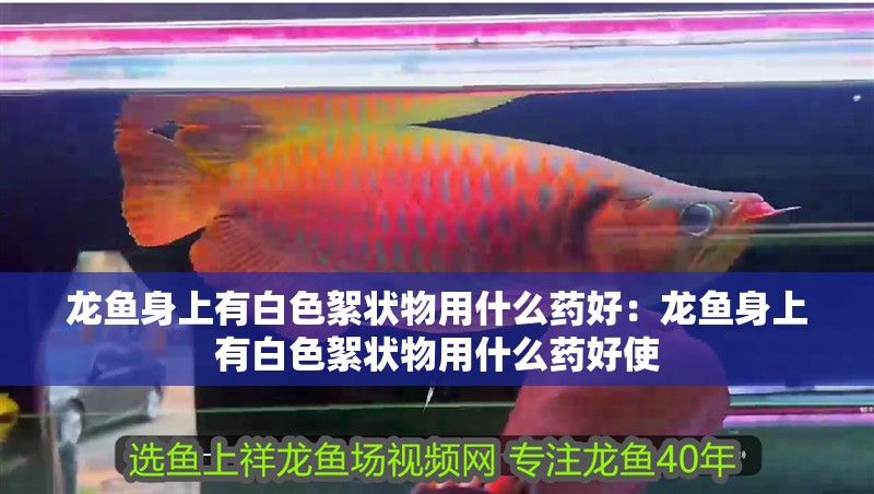 龍魚(yú)身上有白色絮狀物用什么藥好：龍魚(yú)身上有白色絮狀物用什么藥好使