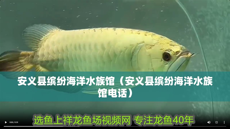 安義縣繽紛海洋水族館（安義縣繽紛海洋水族館電話）