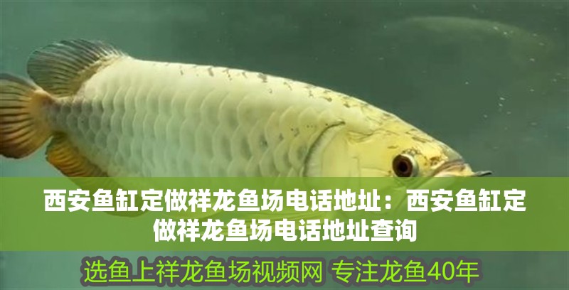 西安魚缸定做祥龍魚場(chǎng)電話地址：西安魚缸定做祥龍魚場(chǎng)電話地址查詢
