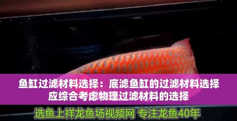 魚缸過濾材料選擇：底濾魚缸的過濾材料選擇應綜合考慮物理過濾材料的選擇