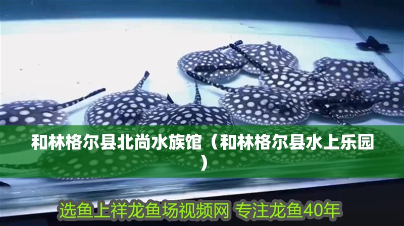 和林格爾縣北尚水族館（和林格爾縣水上樂園）