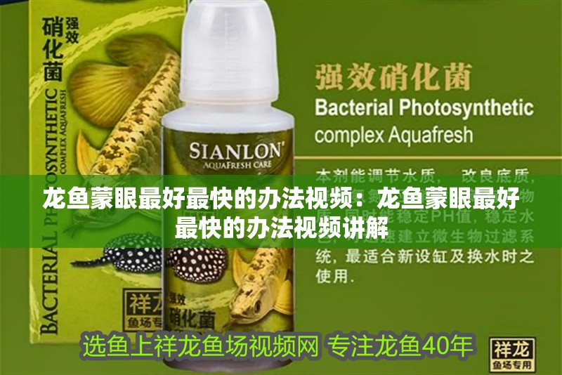 詳細閱讀:龍魚蒙眼最好最快的辦法視頻:龍魚蒙眼最好最快的辦法視頻講解 龍魚蒙眼最好最快的辦法視頻:龍魚蒙眼最好最快的辦法視頻講解