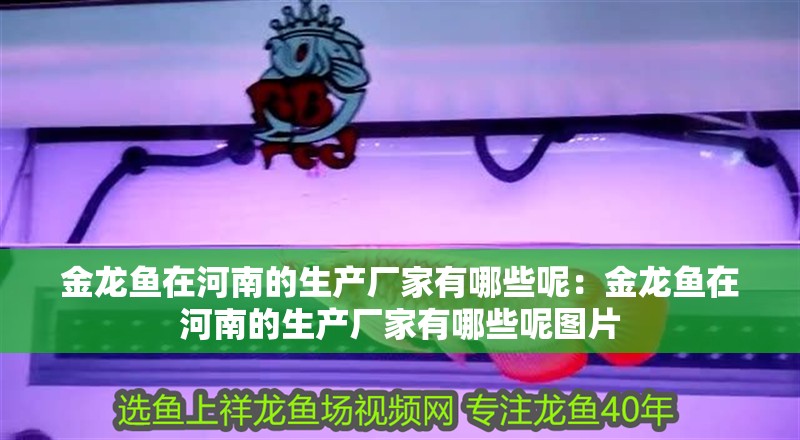 金龍魚在<strong><mark>河南</mark></strong>的生產廠家有哪些呢：金龍魚在<strong><mark>河南</mark></strong>的生產廠家有哪些呢圖片