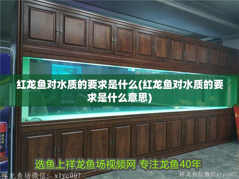 紅龍魚對水質的要求是什么(紅龍魚對水質的要求是什么意思)