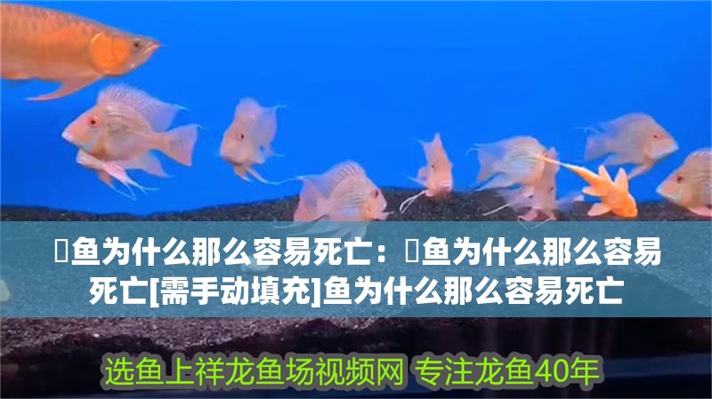 魟魚為什么那么容易死亡：魟魚為什么那么容易死亡[需手動填充]魚為什么那么容易死亡
