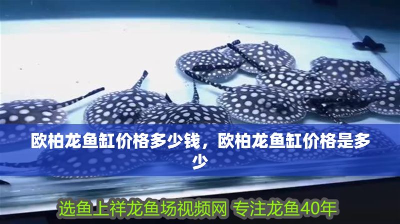 歐柏龍魚缸價格多少錢，歐柏龍魚缸價格是多少