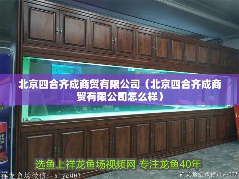 北京四合齊成商貿有限公司(北京四合齊成商貿有限公司怎么樣) 全國水族館企業名錄 第1張 北京四合齊成商貿有限公司(北京四合齊成商貿有限公司怎么樣) 北京四合齊成商貿有限公司(北京四合齊成商貿有限公司怎么樣) 全國水族館企業名錄 第1張