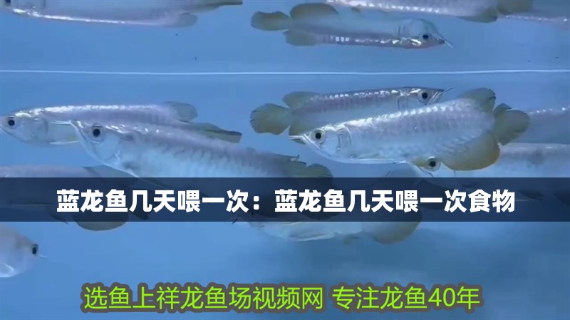 藍(lán)龍魚幾天喂一次：藍(lán)龍魚幾天喂一次食物