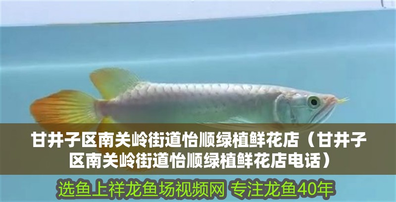 甘井子區(qū)南關(guān)嶺街道怡順綠植鮮花店（甘井子區(qū)南關(guān)嶺街道怡順綠植鮮花店電話）