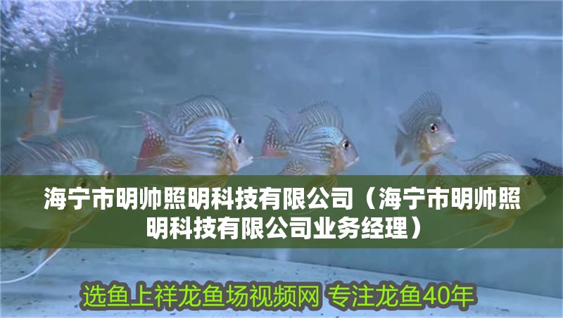 海寧市明帥照明科技有限公司（海寧市明帥照明科技有限公司業(yè)務(wù)經(jīng)理）