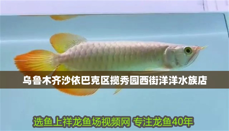 烏魯木齊沙依巴克區(qū)攬秀園西街洋洋水族店