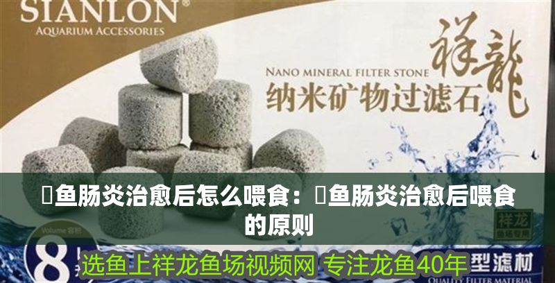 魟魚腸炎治愈后怎么喂食：魟魚腸炎治愈后喂食的原則