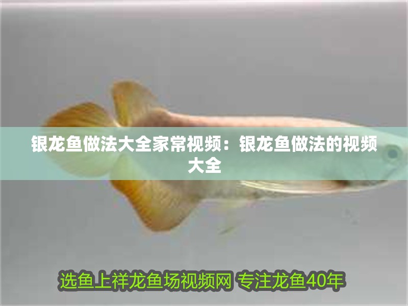 銀龍魚(yú)做法大全家常視頻：銀龍魚(yú)做法的視頻大全