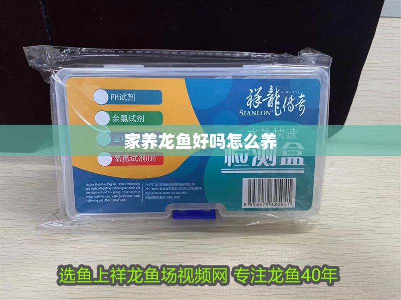 家養(yǎng)龍魚好嗎怎么養(yǎng)