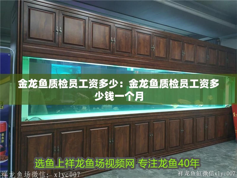 金龍魚質檢員工資多少：金龍魚質檢員工資多少錢一個月