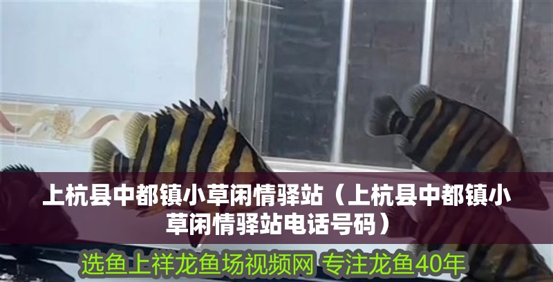 上杭縣中都鎮小草閑情驛站（上杭縣中都鎮小草閑情驛站電話號碼）