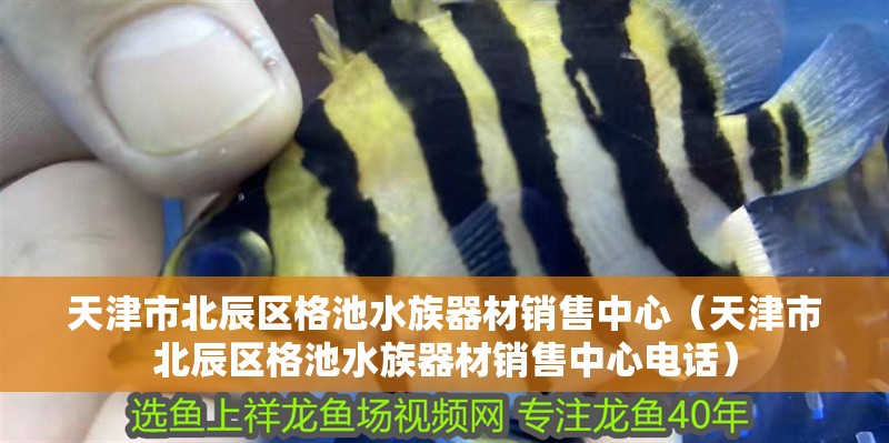 天津市北辰區格池水族器材銷售中心(天津市北辰區格池水族器材銷售中心電話) 全國水族館企業名錄 第1張 天津市北辰區格池水族器材銷售中心(天津市北辰區格池水族器材銷售中心電話) 天津市北辰區格池水族器材銷售中心(天津市北辰區格池水族器材銷售中心電話) 全國水族館企業名錄 第1張