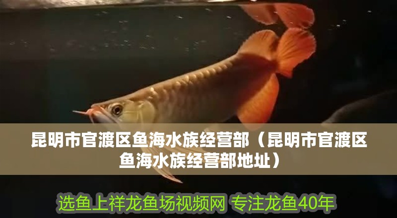 昆明市官渡區魚海水族經營部（昆明市官渡區魚海水族經營部地址）