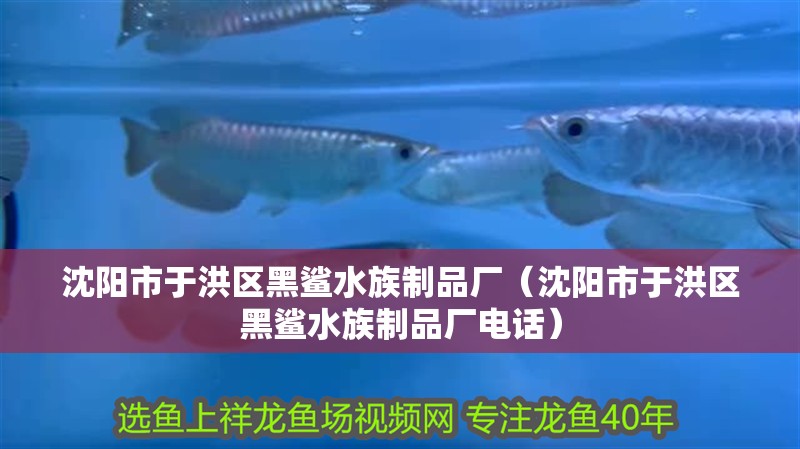 沈陽市于洪區黑鯊水族制品廠（沈陽市于洪區黑鯊水族制品廠電話）