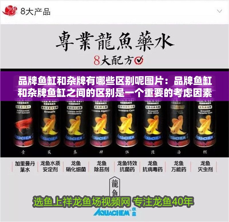 品牌魚缸和雜牌有哪些區別呢圖片：品牌魚缸和雜牌魚缸之間的區別是一個重要的考慮因素