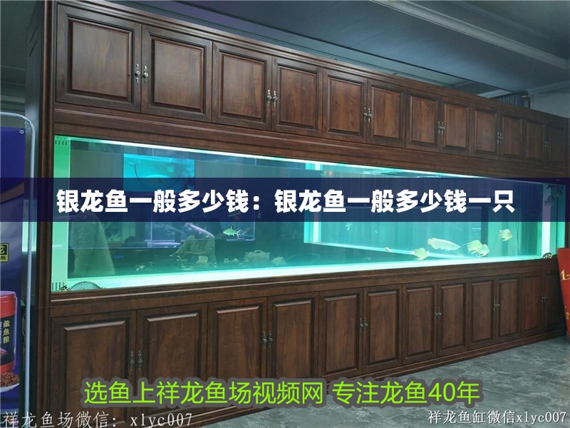 銀龍魚一般多少錢：銀龍魚一般多少錢一只