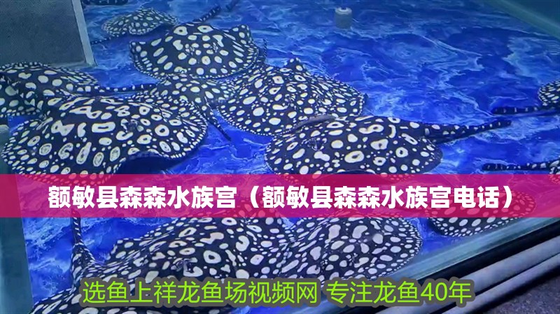 額敏縣森森水族宮（額敏縣森森水族宮電話）