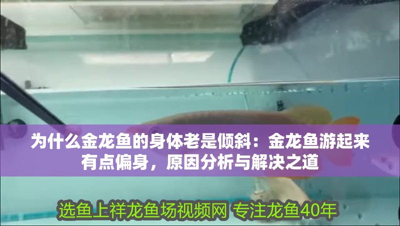 為什么金龍魚的身體老是傾斜：金龍魚游起來有點偏身，原因分析與解決之道 為什么金龍魚的身體老是傾斜：金龍魚游起來有點偏身，原因分析與解決之道 龍魚百科