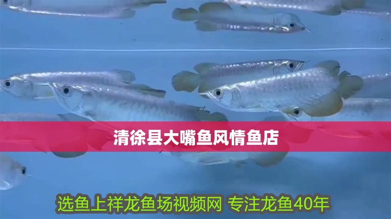 清徐縣大嘴魚風情魚店