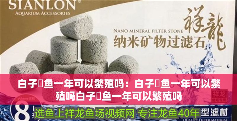 白子魟魚一年可以繁殖嗎：白子魟魚一年可以繁殖嗎白子魟魚一年可以繁殖嗎