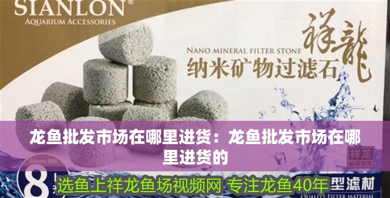 龍魚批發市場在哪里進貨：龍魚批發市場在哪里進貨的