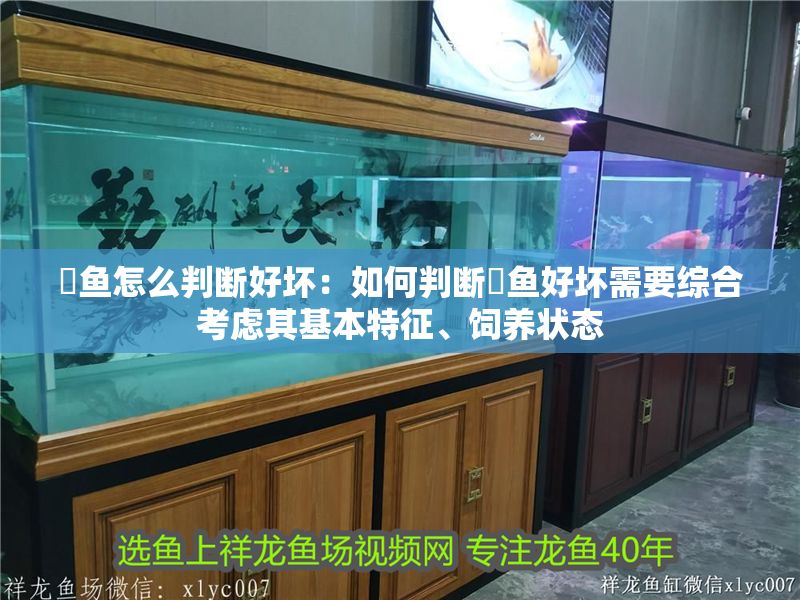 魟魚怎么判斷好壞：如何判斷魟魚好壞需要綜合考慮其基本特征、飼養狀態