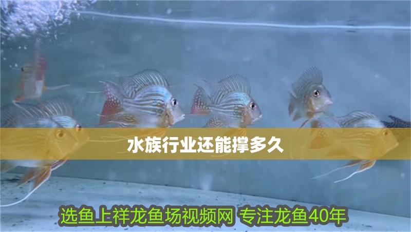 水族行業還能撐多久