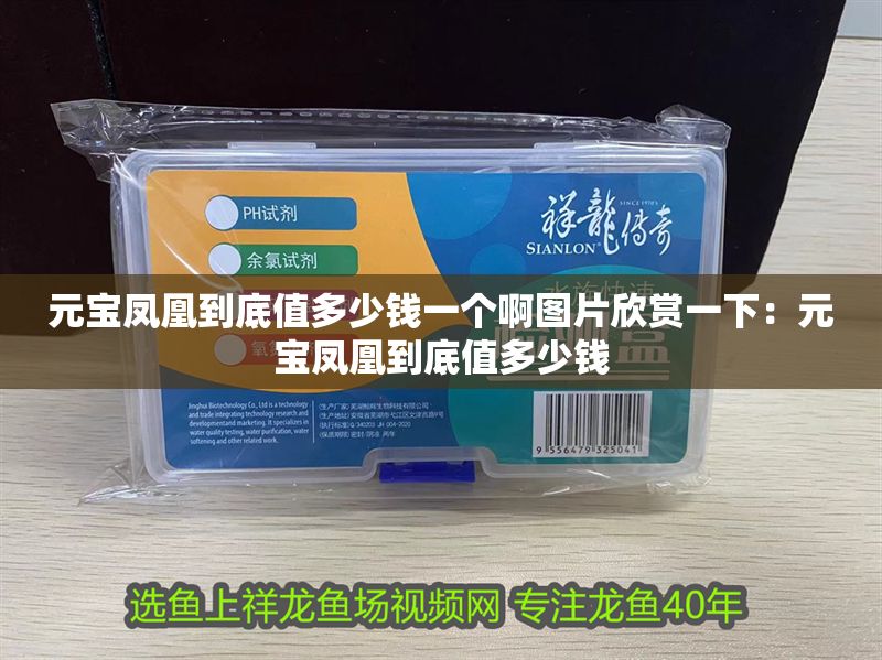 元寶鳳凰到底值多少錢一個(gè)啊圖片欣賞一下：元寶鳳凰到底值多少錢