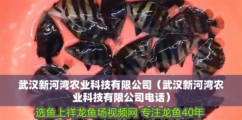 武漢新河灣農業科技有限公司（武漢新河灣農業科技有限公司電話）