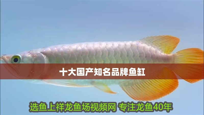 十大國產知名品牌魚缸