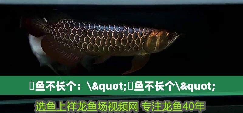 魟魚不長個(gè)：\"魟魚不長個(gè)\"