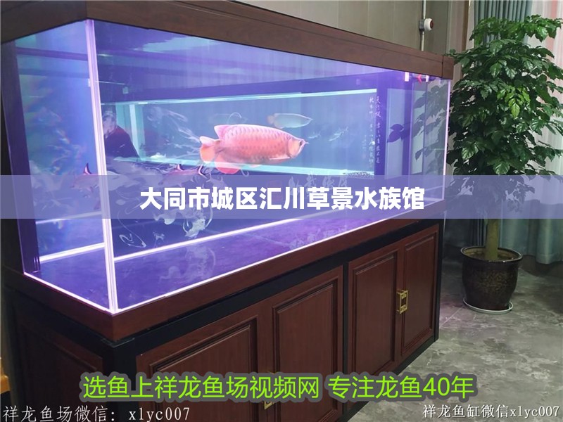 大同市城區匯川草景水族館