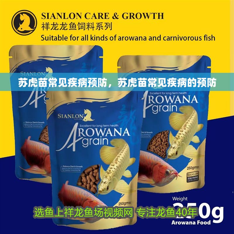 蘇虎苗常見疾病預防，蘇虎苗常見疾病的預防
