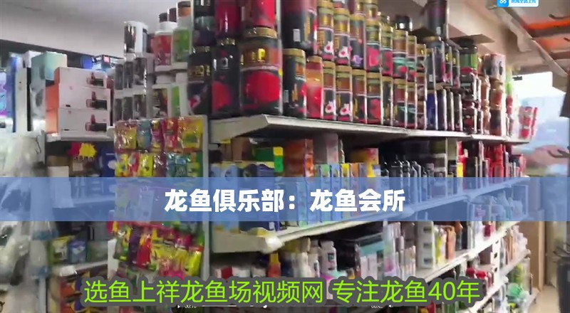 龍魚俱樂部：龍魚會所