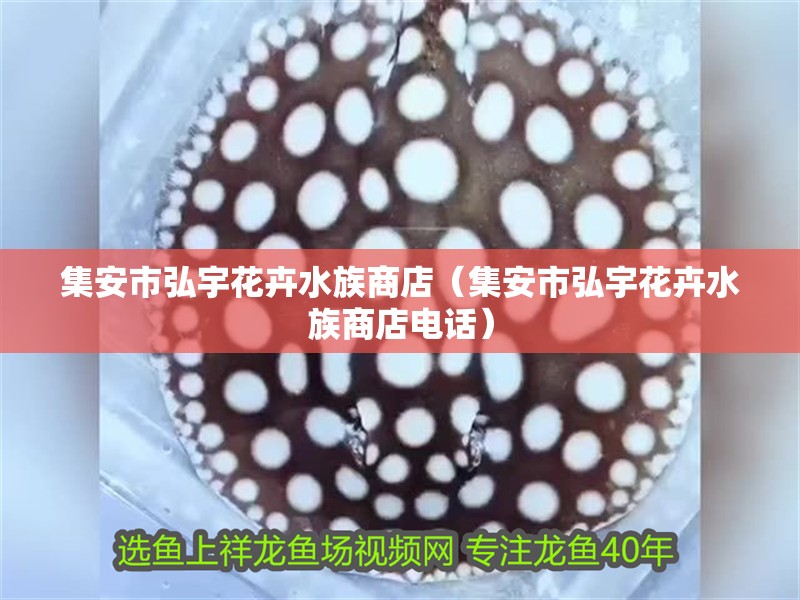 集安市弘宇花卉水族商店（集安市弘宇花卉水族商店電話）