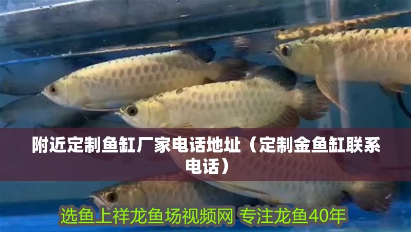 附近定制魚缸廠家電話地址（定制金魚缸聯系電話）
