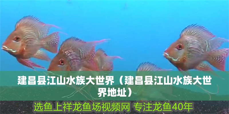 建昌縣江山水族大世界（建昌縣江山水族大世界地址）