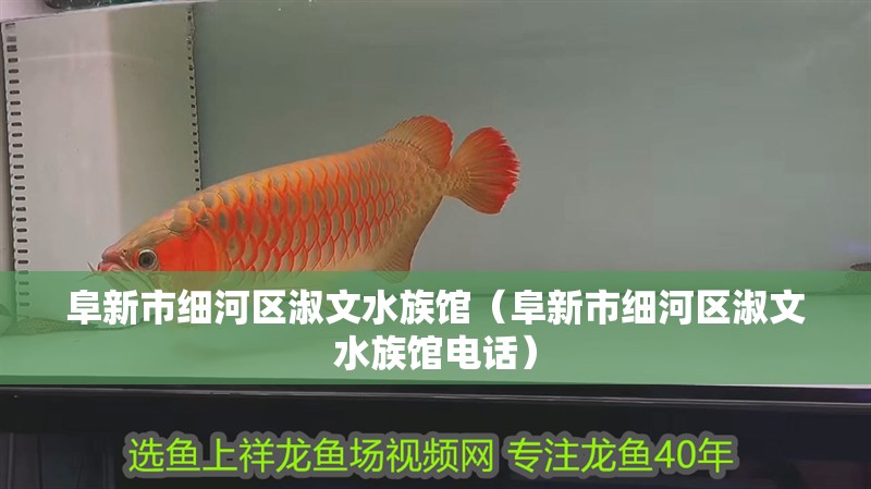 阜新市細河區淑文水族館（阜新市細河區淑文水族館電話）