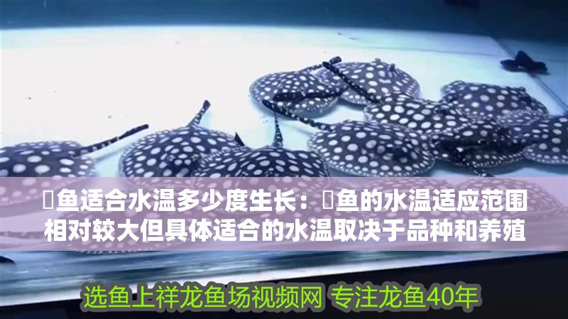 魟魚適合水溫多少度生長：魟魚的水溫適應范圍相對較大但具體適合的水溫取決于品種和養殖條件
